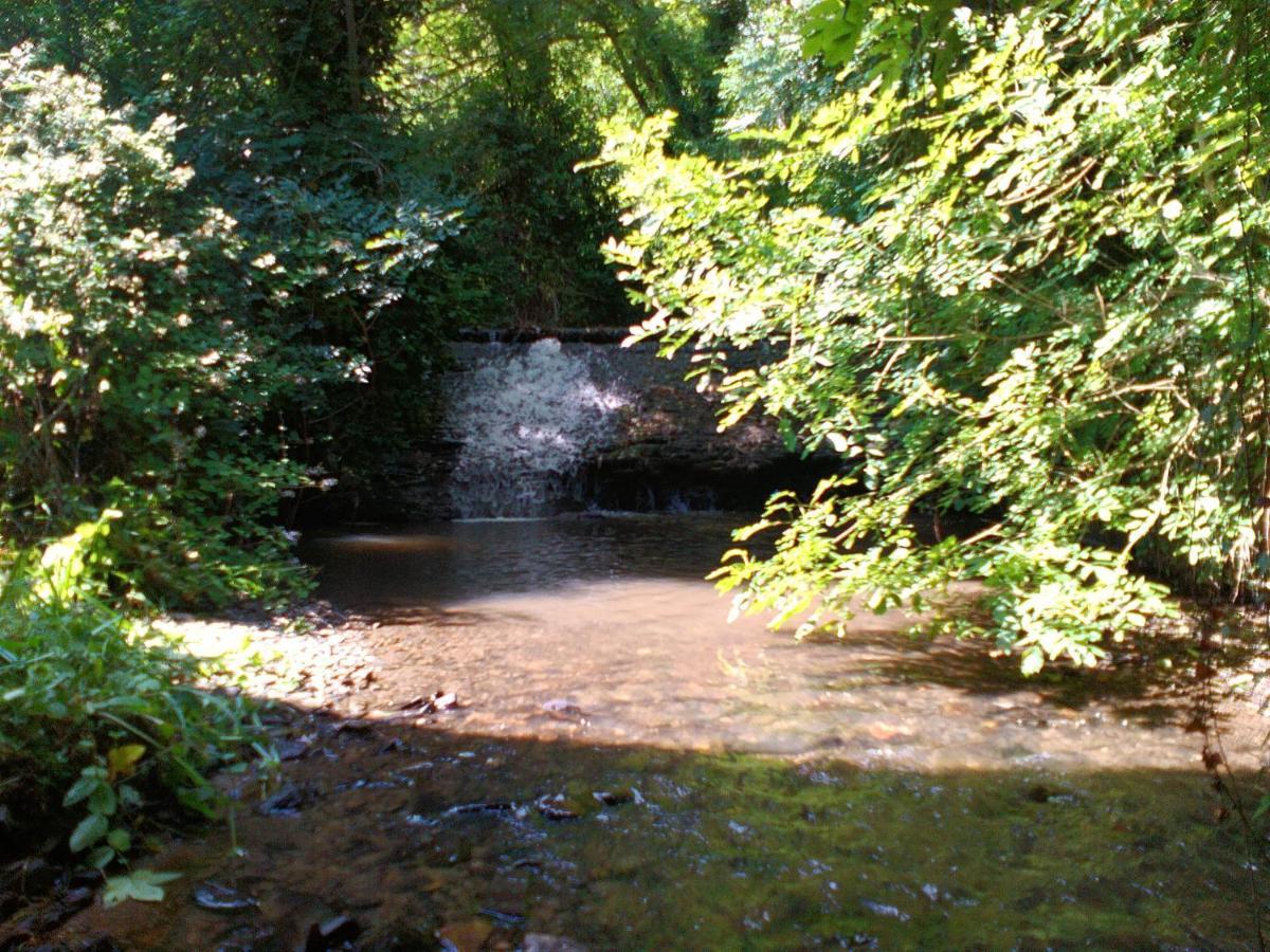 Domaine Le Mayne Chabrignac Bagian luar foto
